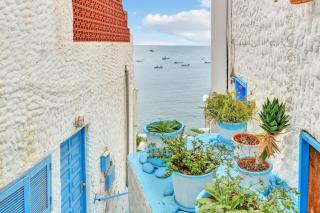 Casa Vistamar comfy 4bd few steps to the ocean - Las Playitas - 6