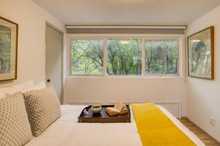 Comfy Apartment with Leafy Views by Tasman - Città del Messico - 9