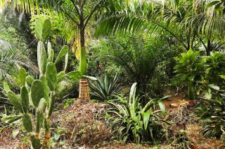 Shashamani Écolodge Abéné Kafountine - 8