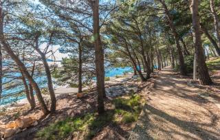 MY DALMATIA - Beachfront apartment Vanja with sea view terrace and private parking - Drage - 1