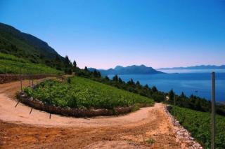 Villa Maestro - Sreser - 6