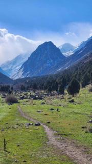 RAHMAT yurts - 6