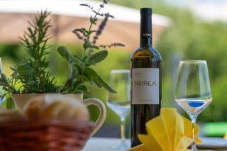 Activity and familiy Villa Milena with heated pool - Kršan - 4