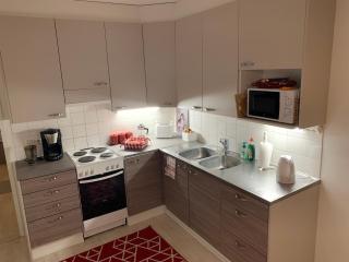 SUSIHUKKA & Punahilkka Apartments with sauna - 1