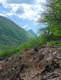 Ca' di Ruchitt - Cuasso Al Monte - 5
