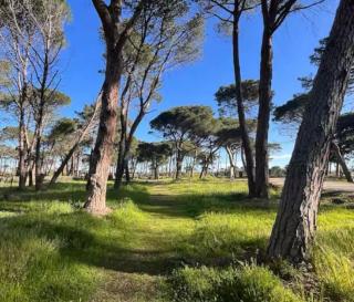 Rez-de-jardin 3 - Accès direct à la plage - 1