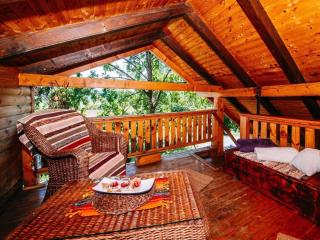 MY DALMATIA - Chalet Sveti Rok in the middle of untouched nature - Sveti Rok - 5