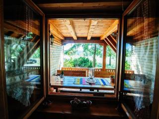 MY DALMATIA - Chalet Sveti Rok in the middle of untouched nature - 1