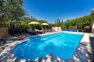 MY DALMATIA - Holiday home Olive Garden with private swimming pool - Lađevci - 9