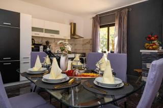 MY DALMATIA - Holiday home Olive Garden with private swimming pool - Lađevci - 1