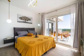 MY DALMATIA - Luxury villa Burra with private pool, jacuzzi and sports court - 6