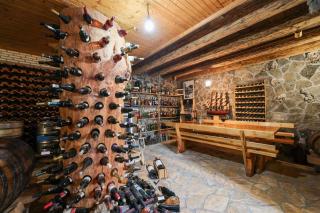 MY DALMATIA - Authentic Villa Vita with private swimming pool - 1