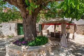 MY DALMATIA - Authentic villa Zvonko with private swimming pool - Podlug - 8