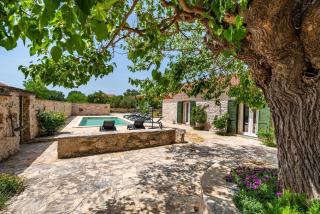 MY DALMATIA - Authentic villa Zvonko with private swimming pool - Podlug - 6
