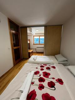 Spacious apartment Zimska Idila with fantastic Bjelašnica panorama - Bjelašnica - 5