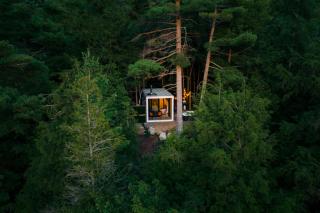 Aux Box Muskoka Modern Muskoka Bunkie - Huntsville - 2