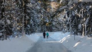 Wolegib Waterfront Retreat in Muskoka - Huntsville - 2