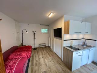 Gemütliches Studio in Frankfurt - Frankfurt am Main - 1