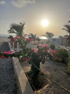 Villa Alfredo Marchetti 13B - 8