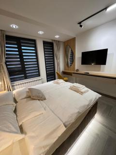 ERA NRG Luxury Apartment Pleven - 3