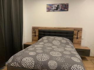 L Inimitable spacieux et lumineux avec 2 chambres - Sarrebourg - 8