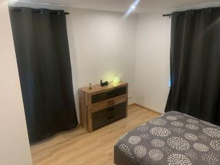 L Inimitable spacieux et lumineux avec 2 chambres - Sarrebourg - 2