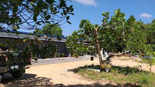 Refugee - Koh Lanta - 1
