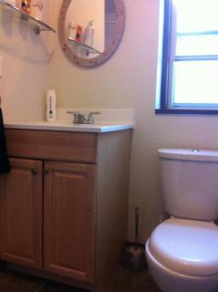 Lovely home in Leslieville - 4