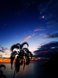 Saco Bravo - Paraty- Ponta Negra - 8