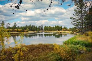 Vine Maple - Unit 30 - Sunriver - 3