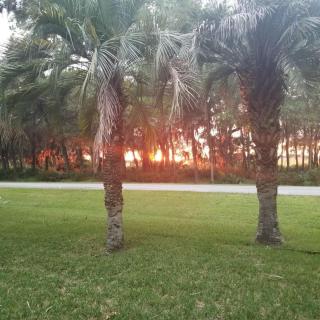 MEET ME AT SUNSET home - Jekyll Island - 8