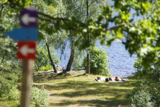Röksvamp 1 - 8
