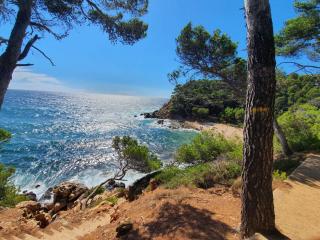 Studio les pieds dans l'eau dans résidence front de mer avec piscines, tennis, plage privée - Bandol - 3