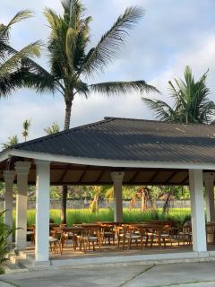 The Serenity Villas - Ubud - 5