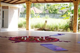 The Serenity Villas - Ubud - 2