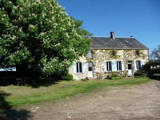 Chambres confortables et jardin ombragé dans une ferme du XIXème siècle près de Châteauroux - FR-1-591-699 - 8