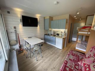 Studio 2/4 pers. avec balcon, proche pistes, WiFi - FR-1-787-104 - Laveissière - 4