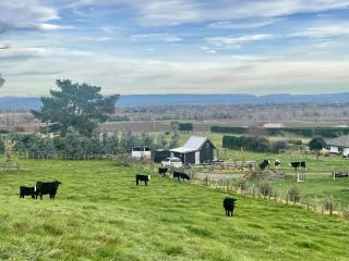 Rustic country Cottage - Haumoana - 3