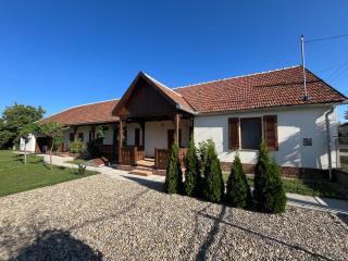 Engstliz House - Foeni - 8