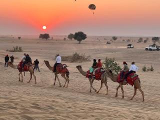 Payal Safari Camp - 4