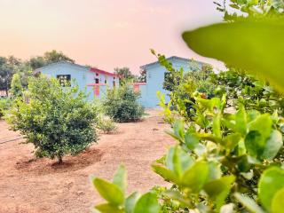 Jaipur Eco Village - Jaipur - 0
