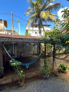 The Calm Palm - 1