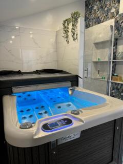 Oaza Mira Laze - Luxury Private Villa with Pool, Football Field - Nova Gradiška - 1