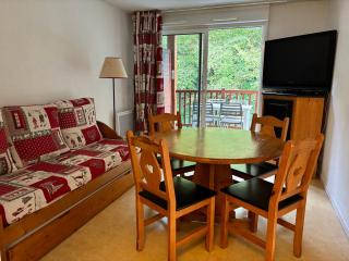 St Lary Village T2 4p lumineux - balcon - parking - Saint-Lary-Soulan - 9