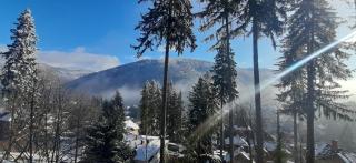 Vila Felix - Sinaia - 3
