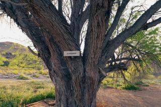 Grootwaterval Guest Farm - 2