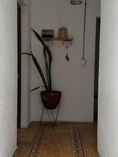 Departamento Centro Histórico - Città di Oaxaca - 6