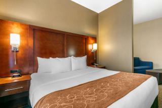 Comfort Suites - Forrest City - 7