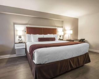 The Saint James Hotel, Ascend Hotel Collection - Toronto - 2