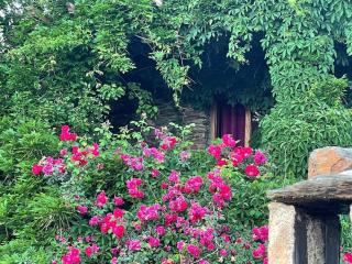 Retiro en la Alpujarra - Bubión - 8
